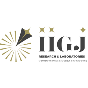 Driver Agency required in Central Delhi, IIGJ
